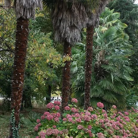 Mas Des Baues Oda ve Kahvaltı Vernet-les-Bains